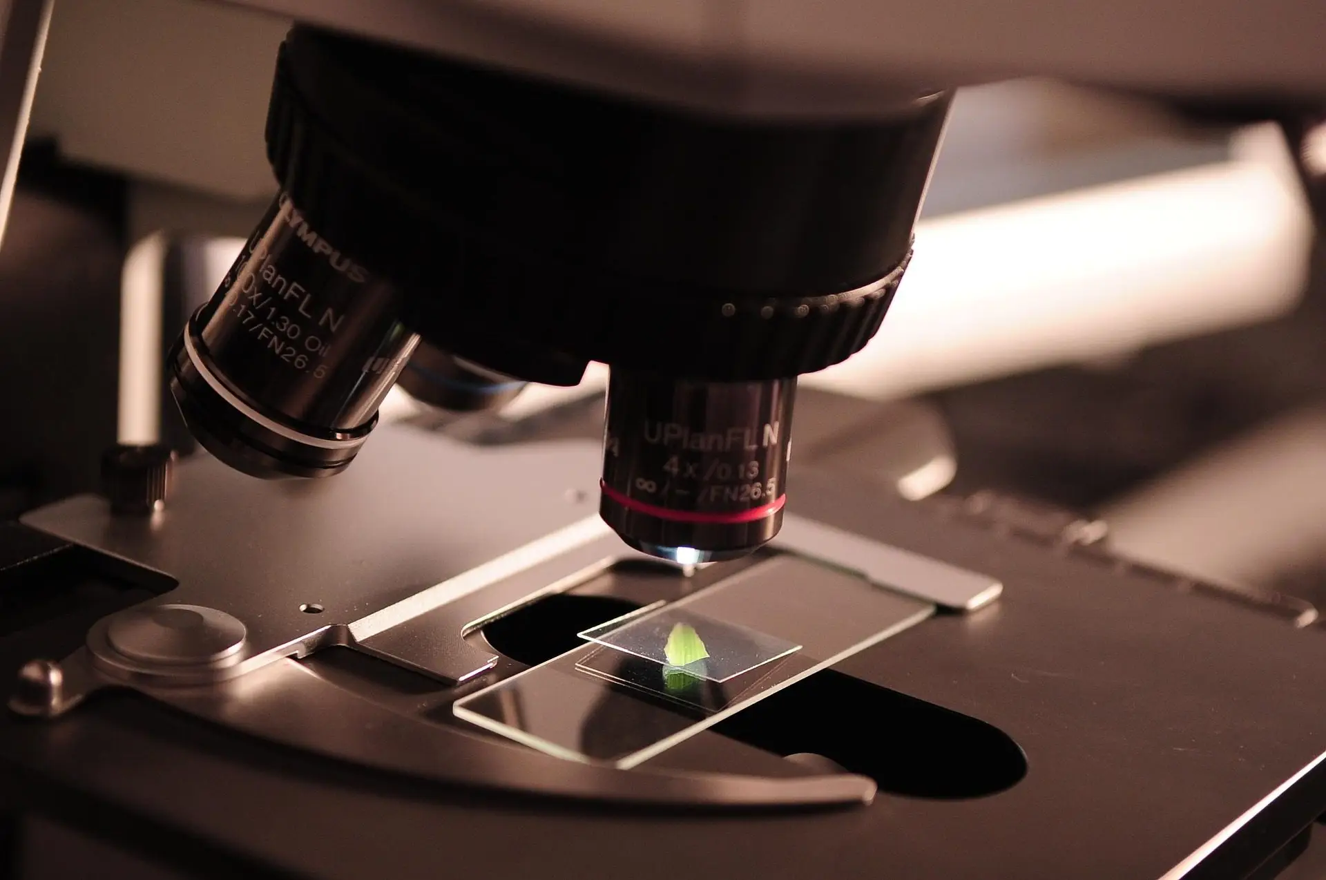 Are Peptides Legal in Australia? What Researchers Need to Know in 2026