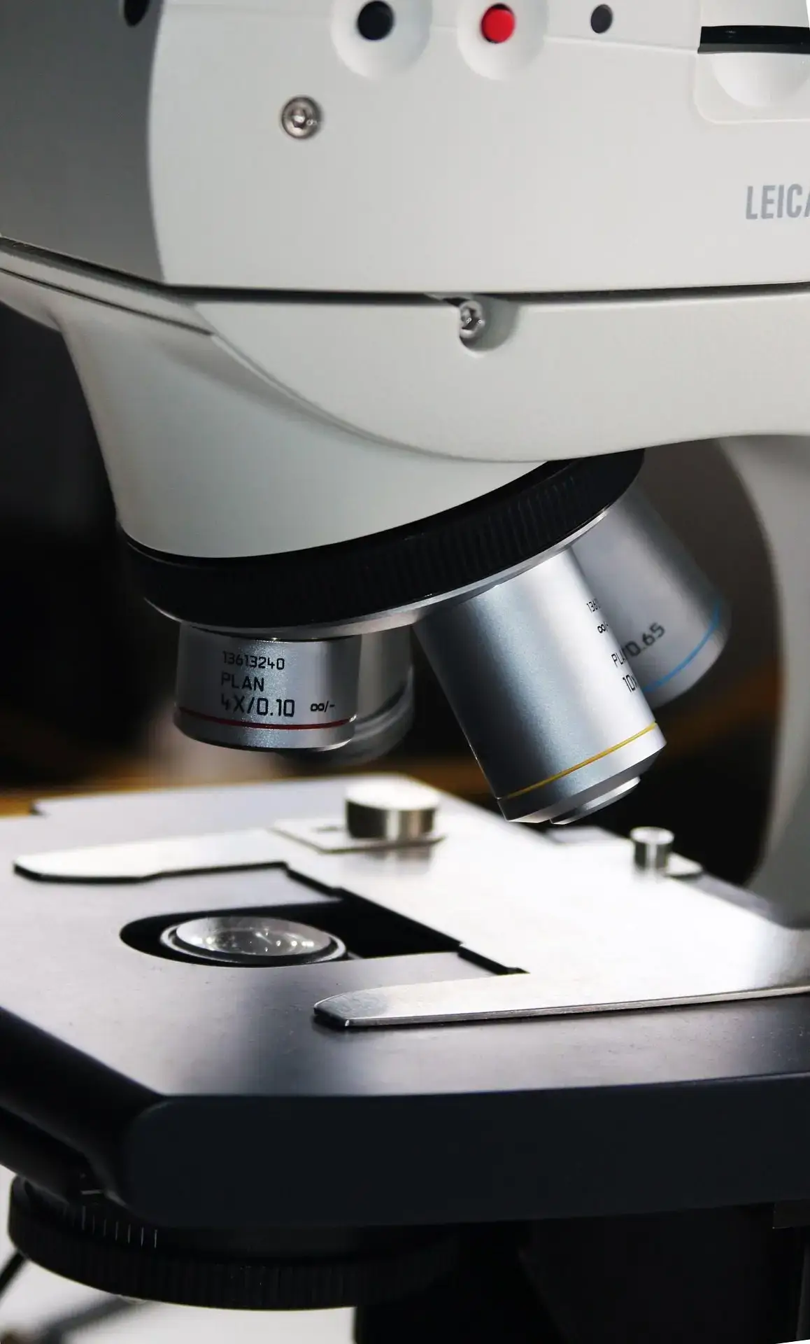 What Are Peptides? A Beginner's Guide for Australian Researchers